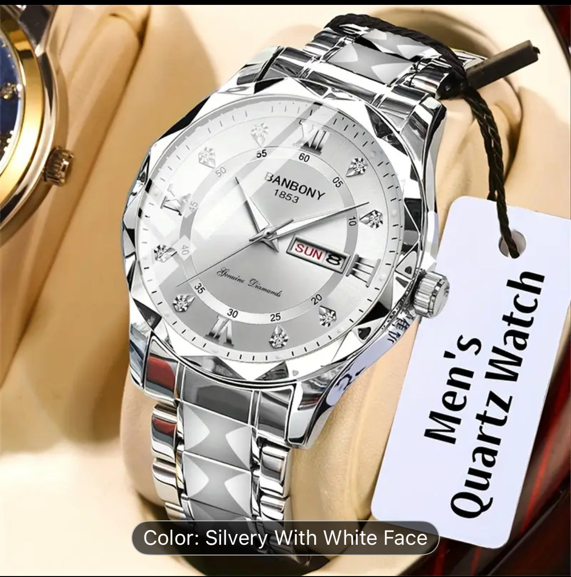 Stainless Steel Men Watch With Ten Color Variants Available