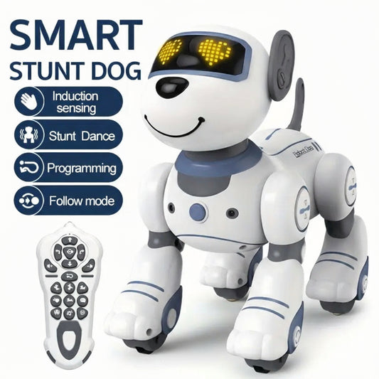 Remote Control Robot Toy For Kids Educational Fun Play - Shoppy