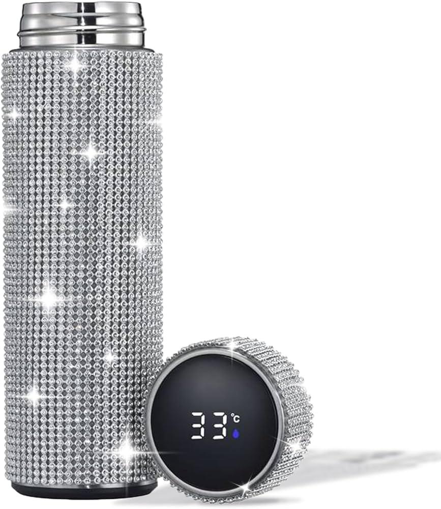 Stainless Steel Water Bottle with LED Temperature Display 17 oz