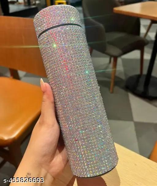 Stainless Steel Water Bottle with LED Temperature Display 17 oz