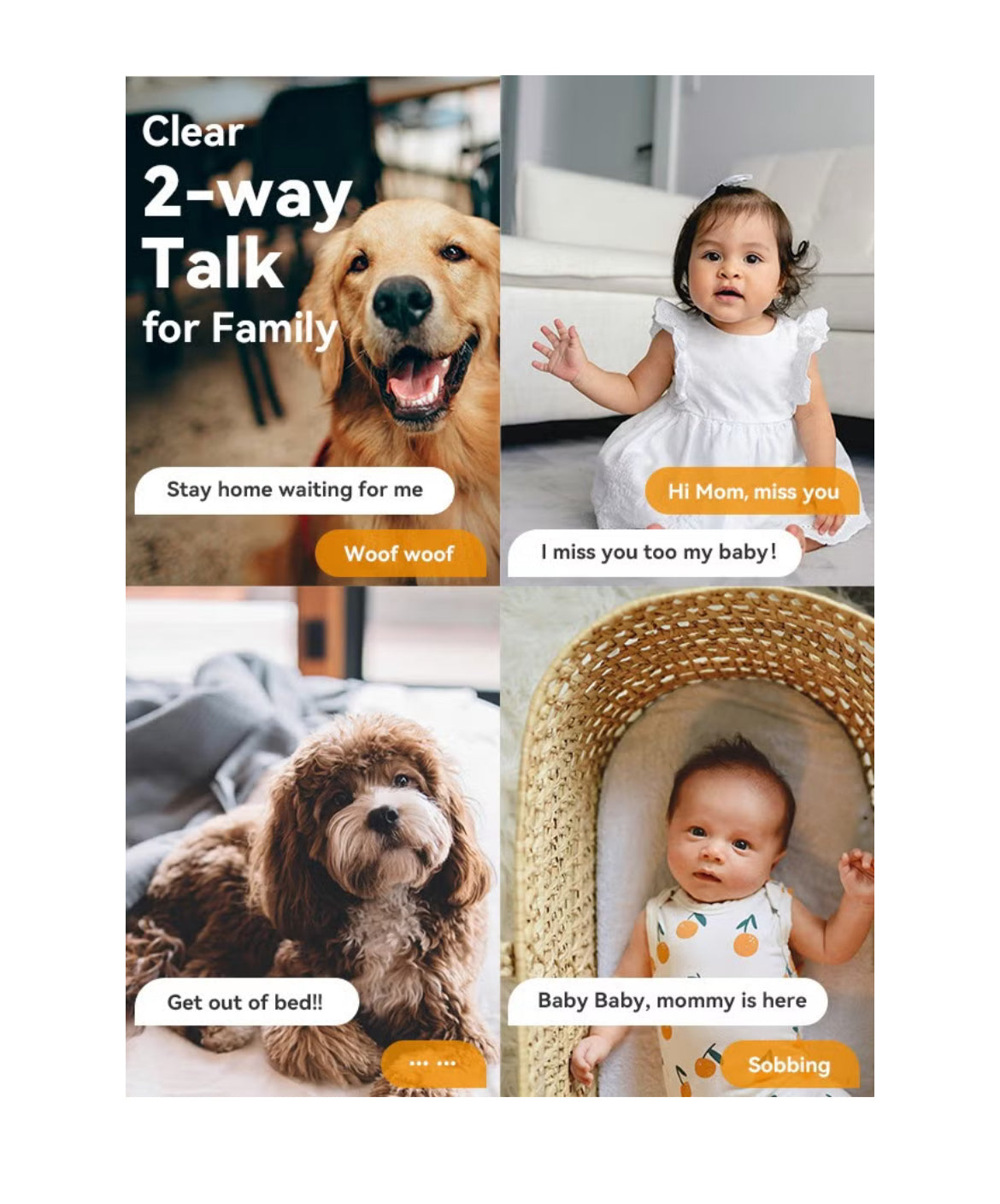 Ranger 2 3MP Indoor WiFi Live Cam, 8x Digital Zoom, Motorized Pan and Tilt with 360° Coverage View, Accurate Human and Pet Detection, Smart Night Vision (Up to 10m), Privacy Mode, Smart Tracking, Two-Way Talk, MicroSD Slot (up to 512 GB)