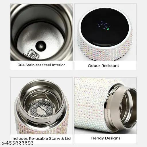 Stainless Steel Water Bottle with LED Temperature Display 17 oz