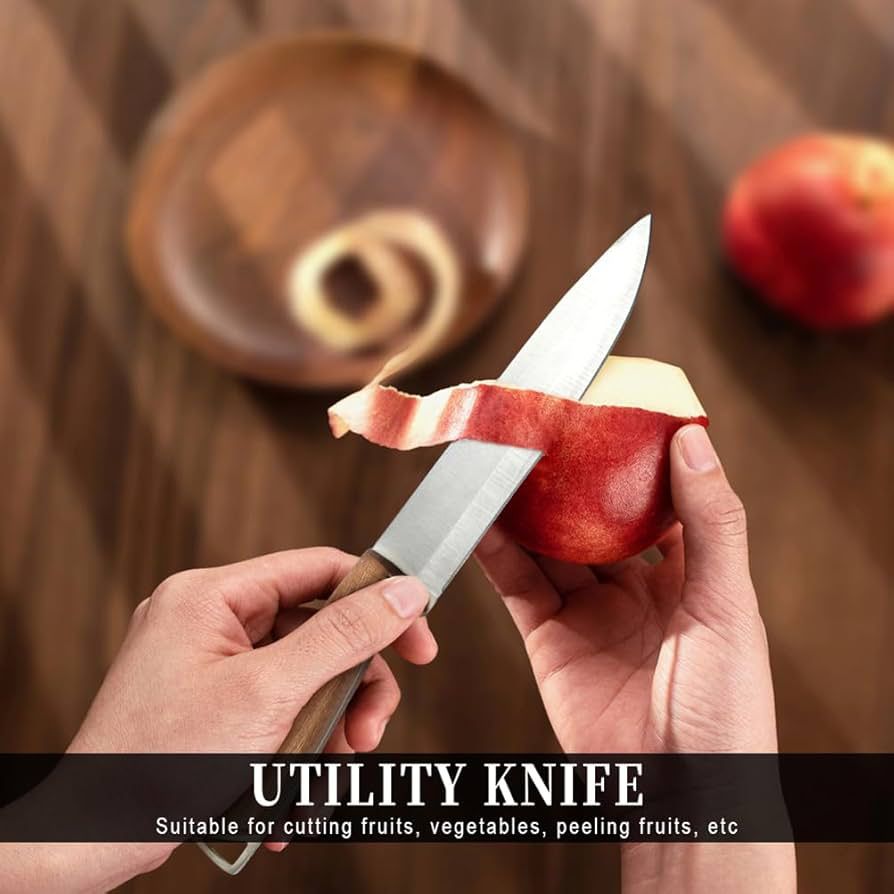 COOSNUG Kitchen Knife Set, 6 Pieces - Sharp Steel Knives